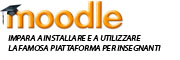banner-copia