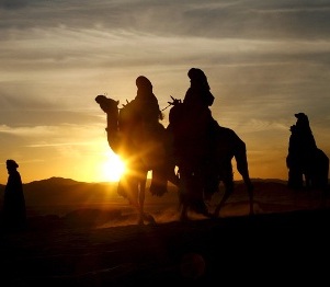 2010112102135155360_20