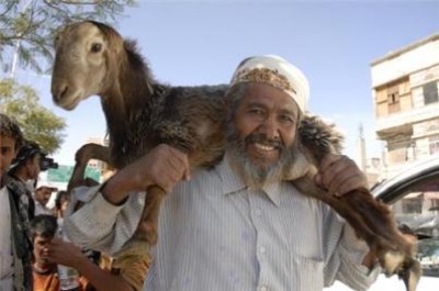 201111663358274734_20