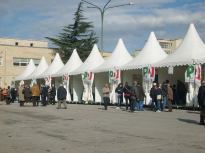 La cattiva informazione e le primarie del PD