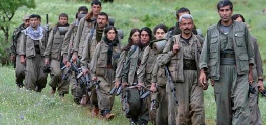 173360_img650x420_img650x420_crop