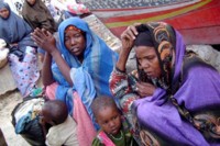 2009728184412105683_3